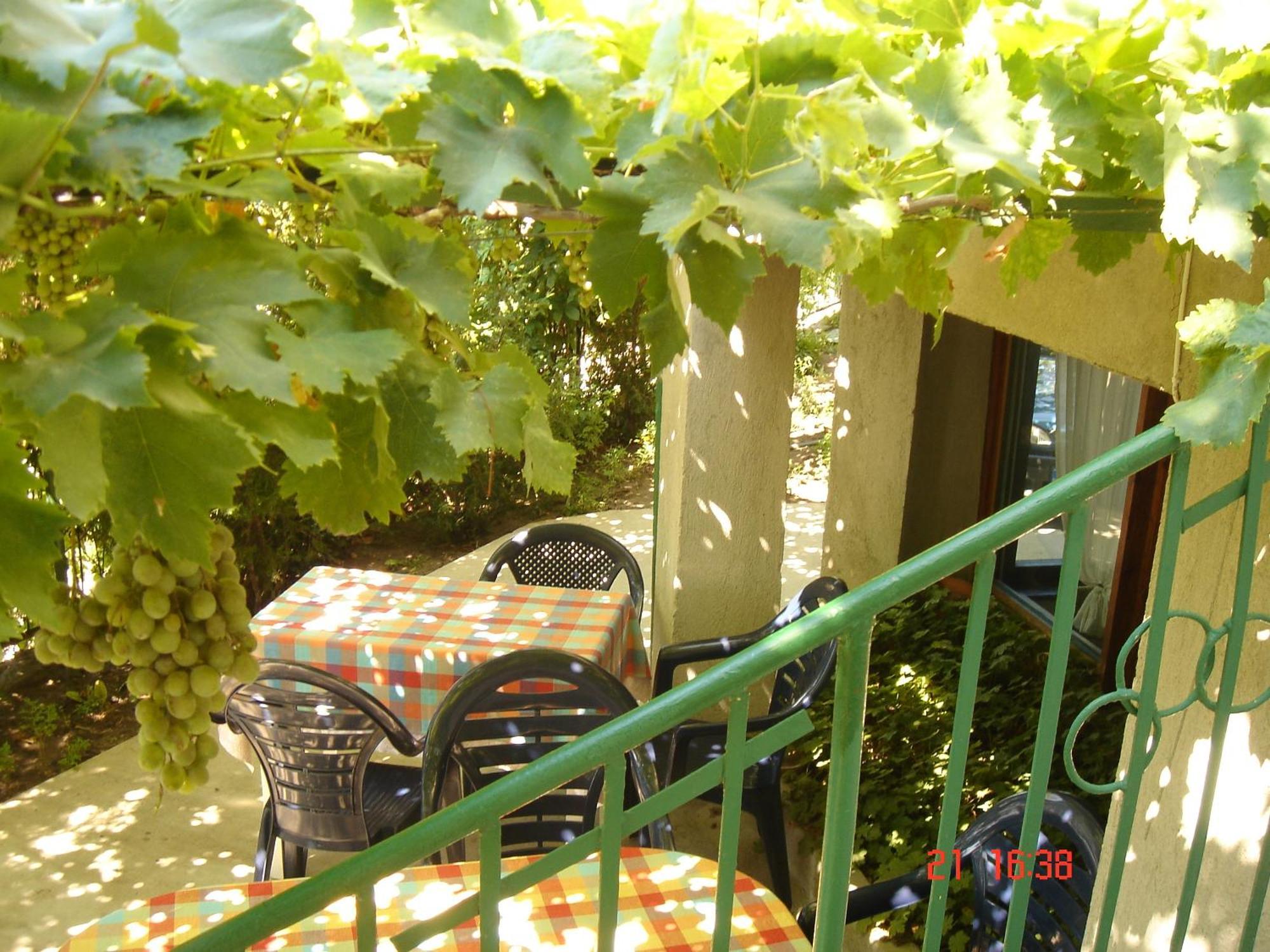 Villa Elfi Golden Sands Exterior photo